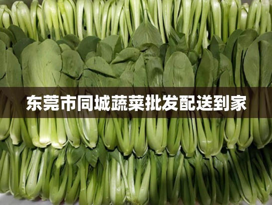 东莞市同城蔬菜批发配送到家