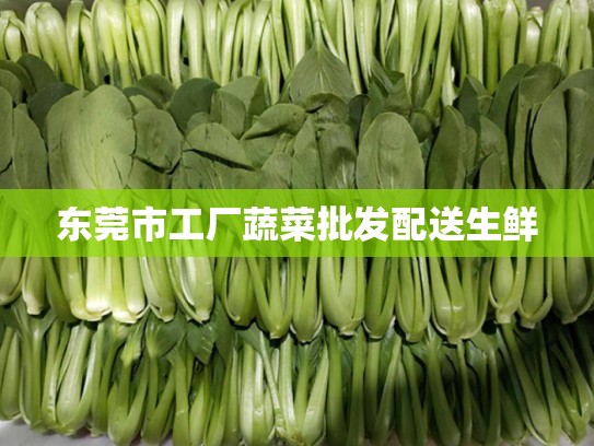 东莞市工厂蔬菜批发配送生鲜