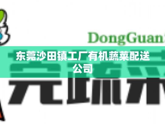 东莞沙田镇工厂有机蔬菜配送公司