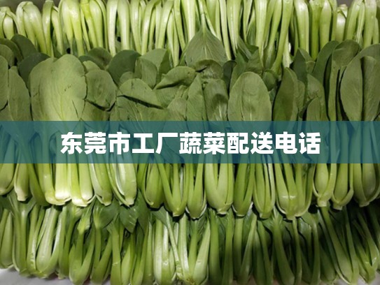 东莞市工厂蔬菜配送电话