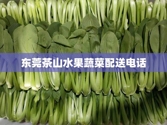 东莞茶山水果蔬菜配送电话