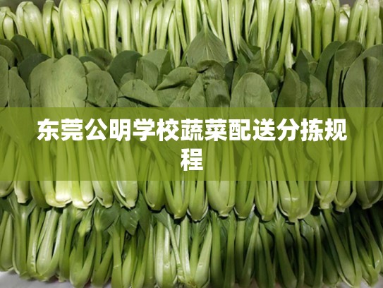 东莞公明学校蔬菜配送分拣规程