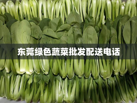 东莞绿色蔬菜批发配送电话