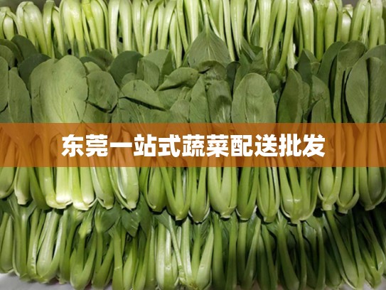 东莞一站式蔬菜配送批发