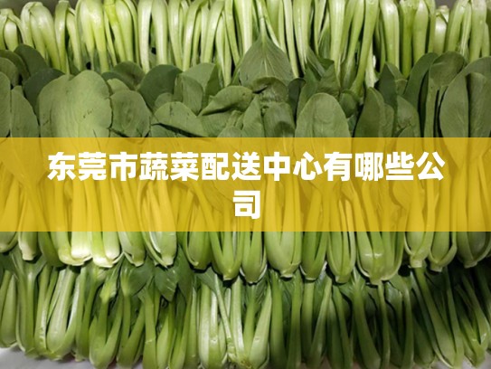 东莞市蔬菜配送中心有哪些公司