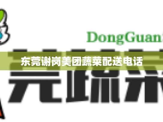 东莞谢岗美团蔬菜配送电话
