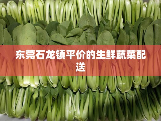 东莞石龙镇平价的生鲜蔬菜配送