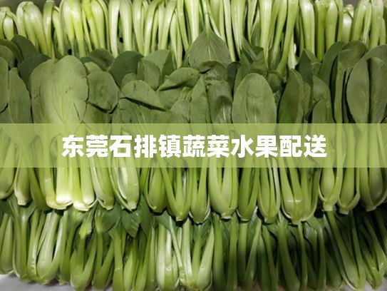 东莞石排镇蔬菜水果配送