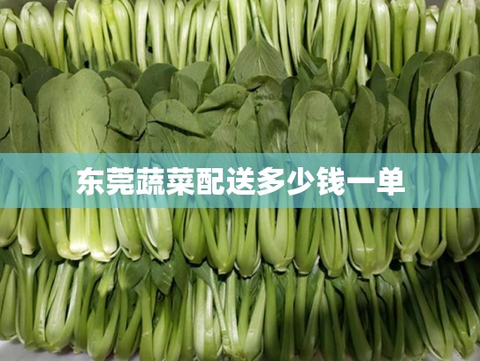 东莞蔬菜配送多少钱一单