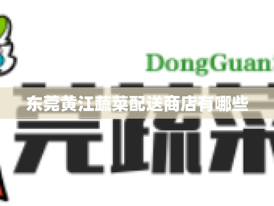 东莞黄江蔬菜配送商店有哪些
