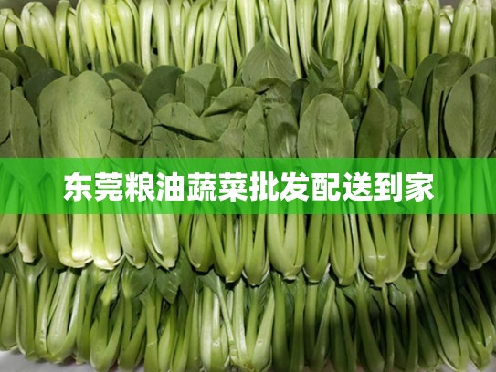 东莞粮油蔬菜批发配送到家