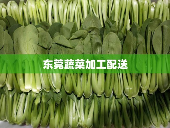 东莞蔬菜加工配送