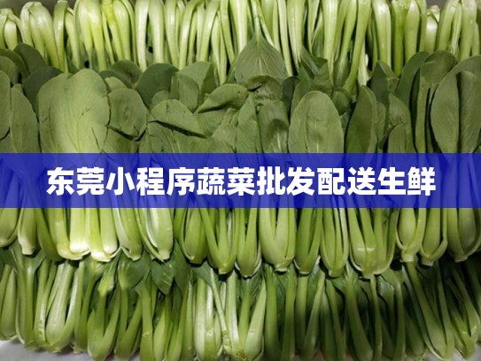 东莞小程序蔬菜批发配送生鲜
