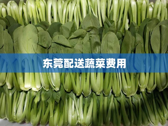 东莞配送蔬菜费用