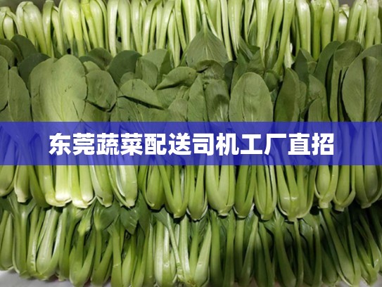 东莞蔬菜配送司机工厂直招