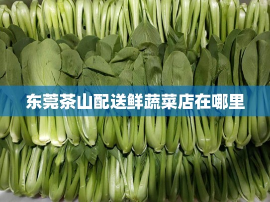 东莞茶山配送鲜蔬菜店在哪里