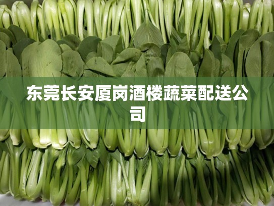 东莞长安厦岗酒楼蔬菜配送公司