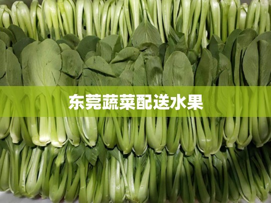 东莞蔬菜配送水果