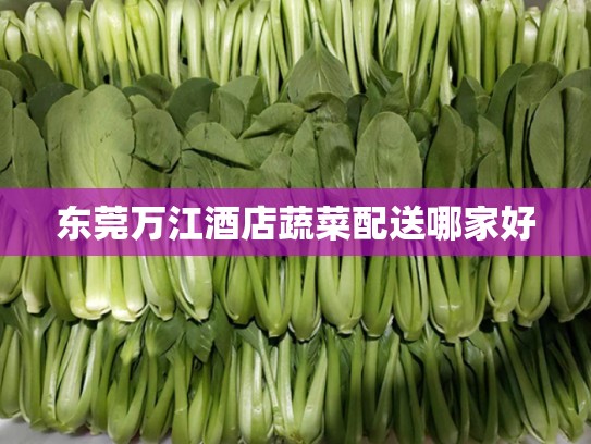 东莞万江酒店蔬菜配送哪家好