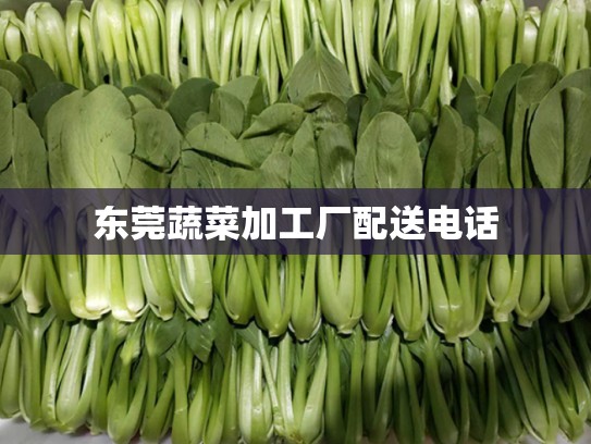东莞蔬菜加工厂配送电话