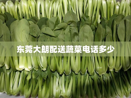 东莞大朗配送蔬菜电话多少
