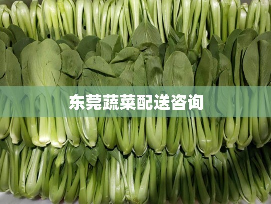 东莞蔬菜配送咨询