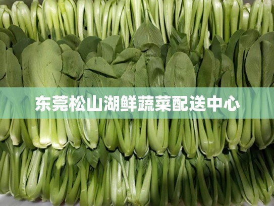 东莞松山湖鲜蔬菜配送中心