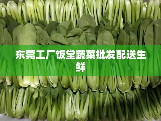 东莞工厂饭堂蔬菜批发配送生鲜