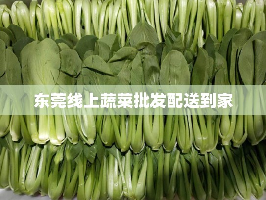 东莞线上蔬菜批发配送到家