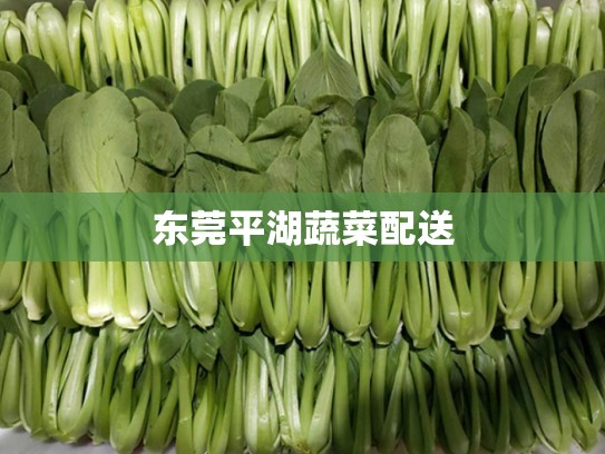 东莞平湖蔬菜配送