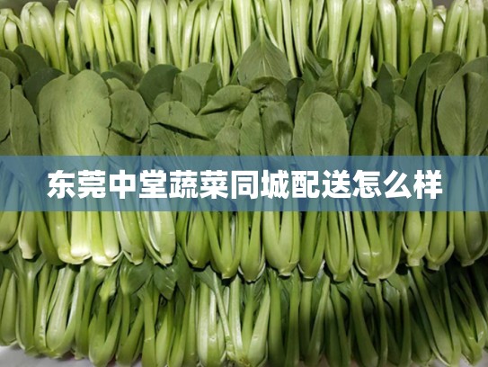 东莞中堂蔬菜同城配送怎么样