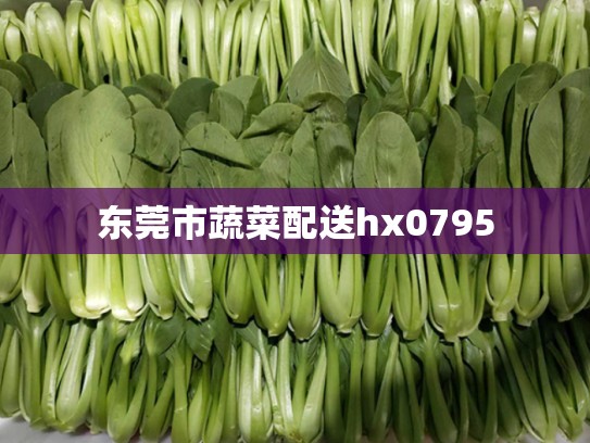 东莞市蔬菜配送hx0795