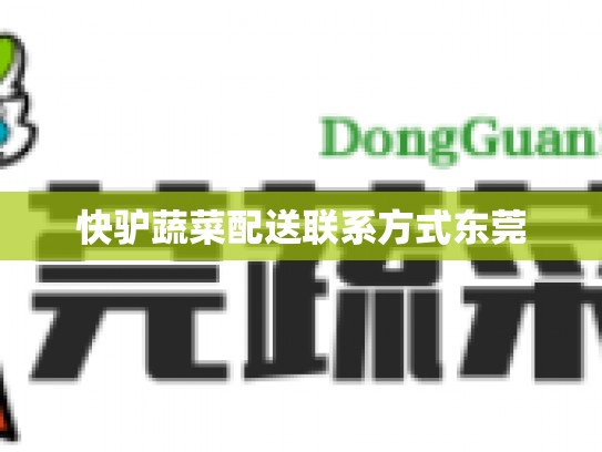 快驴蔬菜配送联系方式东莞