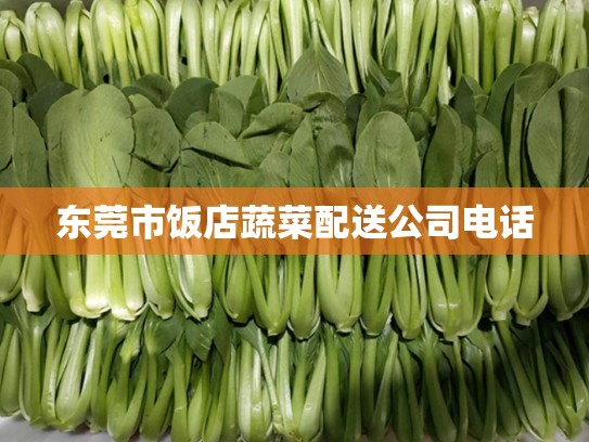 东莞市饭店蔬菜配送公司电话