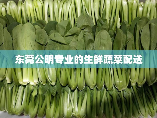 东莞公明专业的生鲜蔬菜配送
