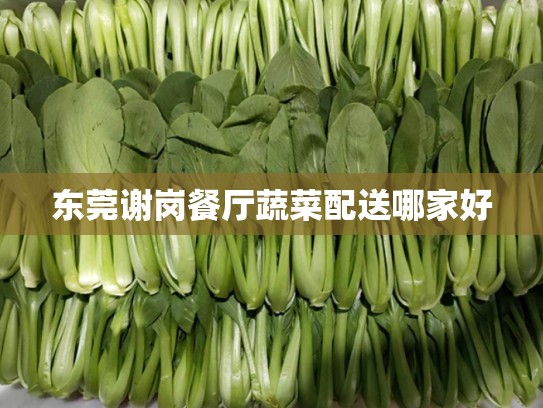 东莞谢岗餐厅蔬菜配送哪家好