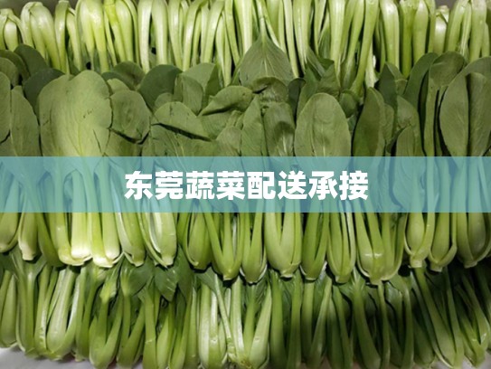 东莞蔬菜配送承接