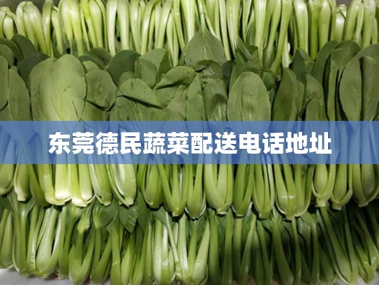 东莞德民蔬菜配送电话地址
