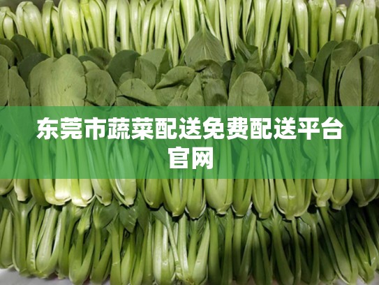 东莞市蔬菜配送免费配送平台官网