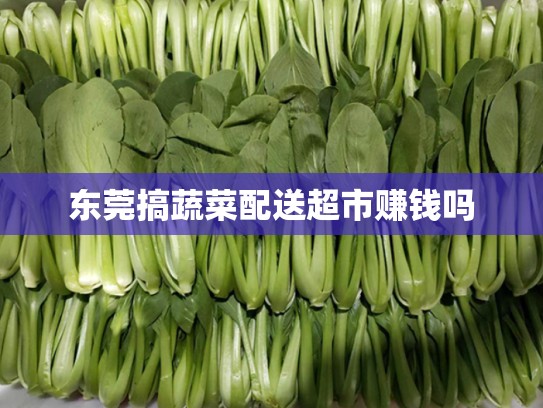 东莞搞蔬菜配送超市赚钱吗