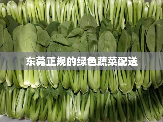 东莞正规的绿色蔬菜配送