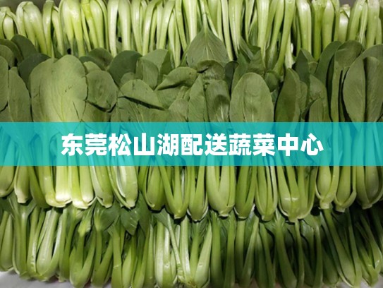 东莞松山湖配送蔬菜中心