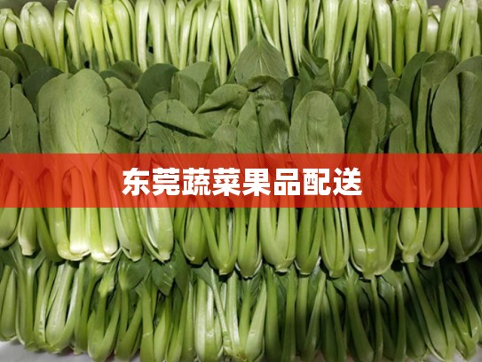 东莞蔬菜果品配送