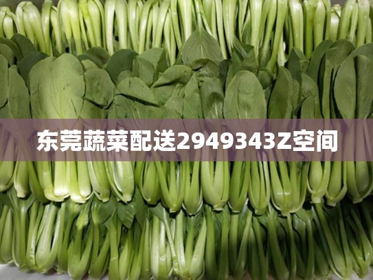 东莞蔬菜配送2949343Z空间