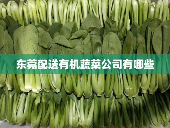 东莞配送有机蔬菜公司有哪些