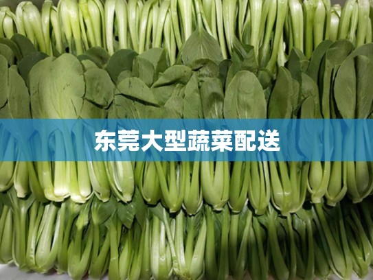 东莞大型蔬菜配送