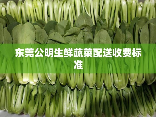 东莞公明生鲜蔬菜配送收费标准