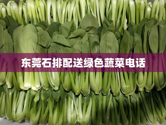 东莞石排配送绿色蔬菜电话