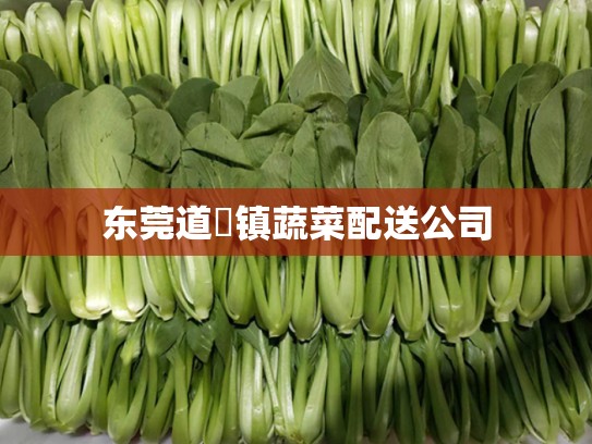 东莞道滘镇蔬菜配送公司