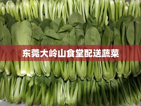 东莞大岭山食堂配送蔬菜